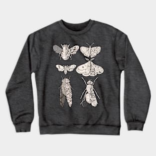 sci-fly collection Crewneck Sweatshirt